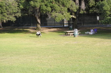 Enlarge photo 144