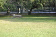 Enlarge photo 145