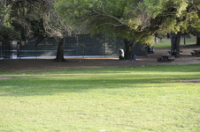 Enlarge photo 146