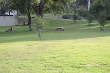 Enlarge photo 148