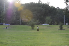 Enlarge photo 150