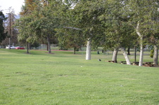 Enlarge photo 154