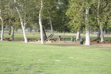 Enlarge photo 155