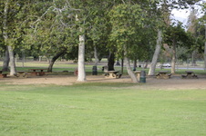 Enlarge photo 156