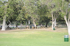 Enlarge photo 157