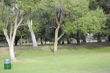 Enlarge photo 158