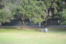 Enlarge photo 159