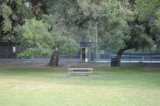 Enlarge photo 160