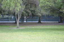 Enlarge photo 161