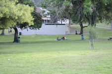 Enlarge photo 163
