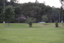 Enlarge photo 165