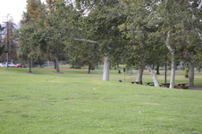 Enlarge photo 169