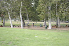 Enlarge photo 170
