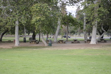 Enlarge photo 171