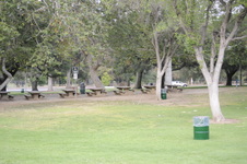Enlarge photo 172