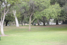 Enlarge photo 173
