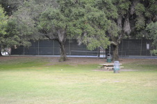 Enlarge photo 174