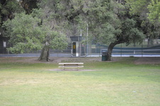 Enlarge photo 175