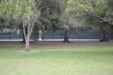 Enlarge photo 176