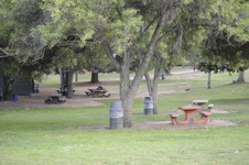 Enlarge photo 177