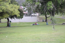 Enlarge photo 178