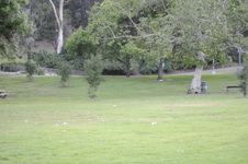 Enlarge photo 179