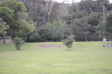 Enlarge photo 180