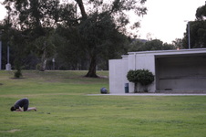 Enlarge photo 182