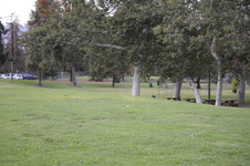 Enlarge photo 185