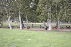 Enlarge photo 186