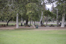Enlarge photo 187