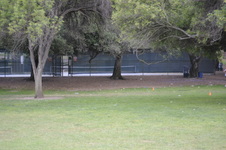 Enlarge photo 192