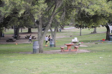 Enlarge photo 193