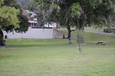 Enlarge photo 194