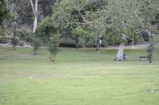 Enlarge photo 195