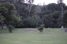 Enlarge photo 196
