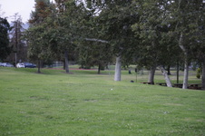 Enlarge photo 201