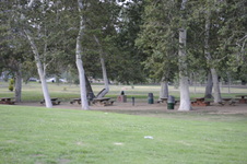 Enlarge photo 202