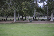 Enlarge photo 203