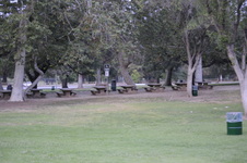 Enlarge photo 204