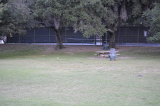 Enlarge photo 206