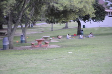 Enlarge photo 209