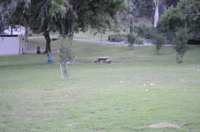 Enlarge photo 210