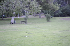 Enlarge photo 211