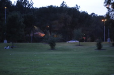 Enlarge photo 213