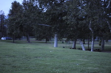 Enlarge photo 217