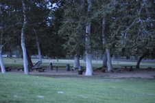 Enlarge photo 218