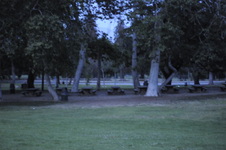 Enlarge photo 219