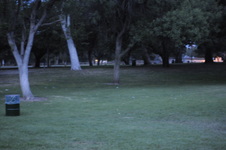 Enlarge photo 221