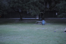 Enlarge photo 222